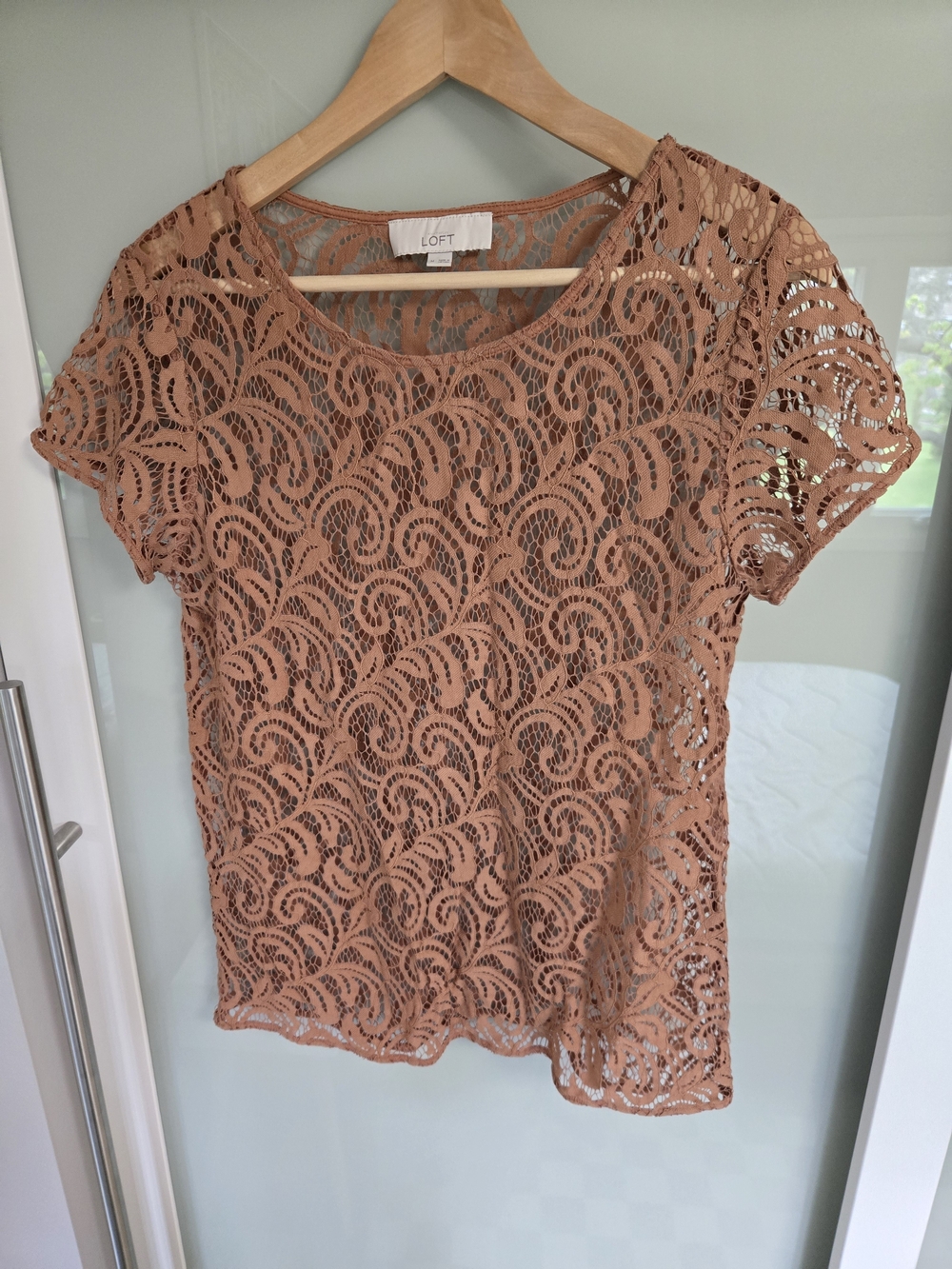 LOFT Women's Lace Short-Sleeve Top in Neutral Latte